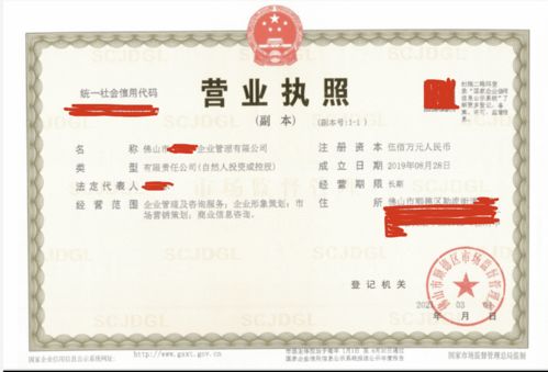 順德區(qū)企業(yè)管理公司不懂填寫(xiě)經(jīng)營(yíng)范圍,靠代理3天完成公司注冊(cè)